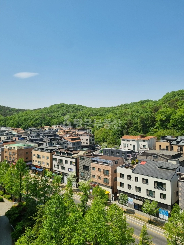 대전광역시 서구 도안동 아파트 사진 1