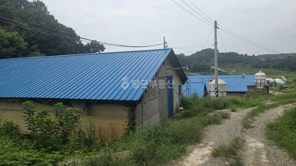 충청남도 천안시 동남구 동면 토지 사진 1