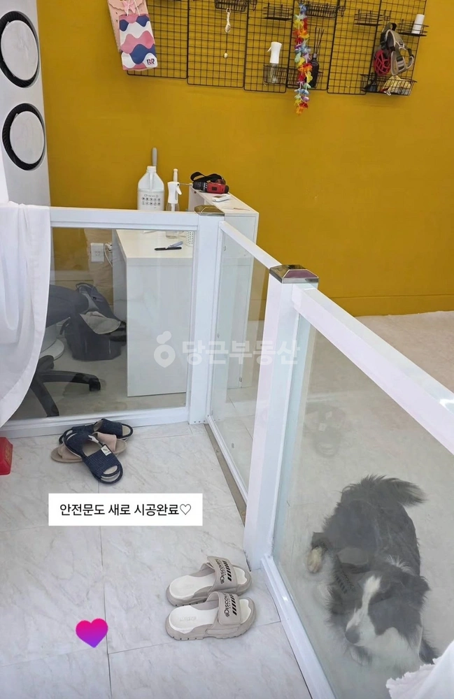 울산광역시 동구 화정동 상가 사진 1
