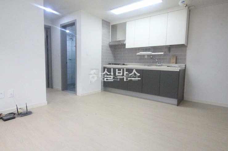 대전광역시 서구 도안동 빌라(투룸 이상) 사진 1