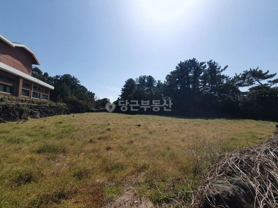 제주특별자치도 서귀포시 성산읍 토지 사진 1