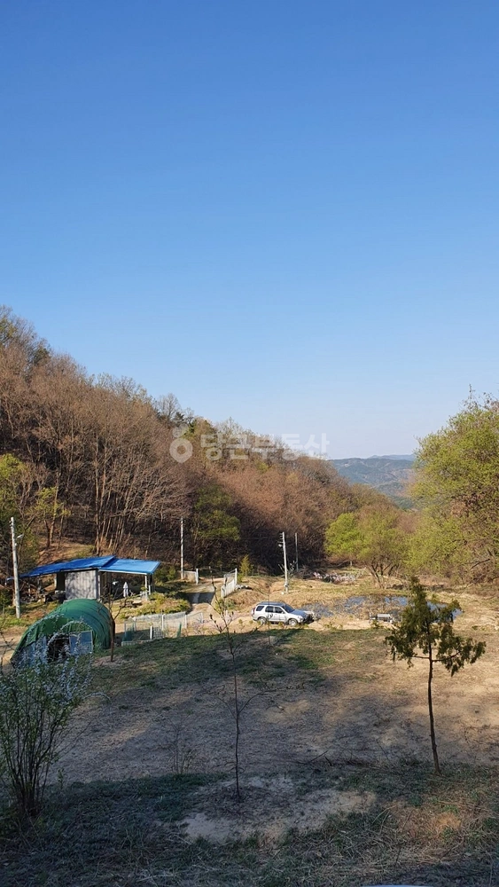 경상북도 김천시 농소면 토지 사진 1