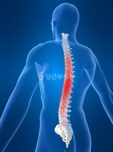 경기도 고양시 덕양구 신원동 상가 사진 1