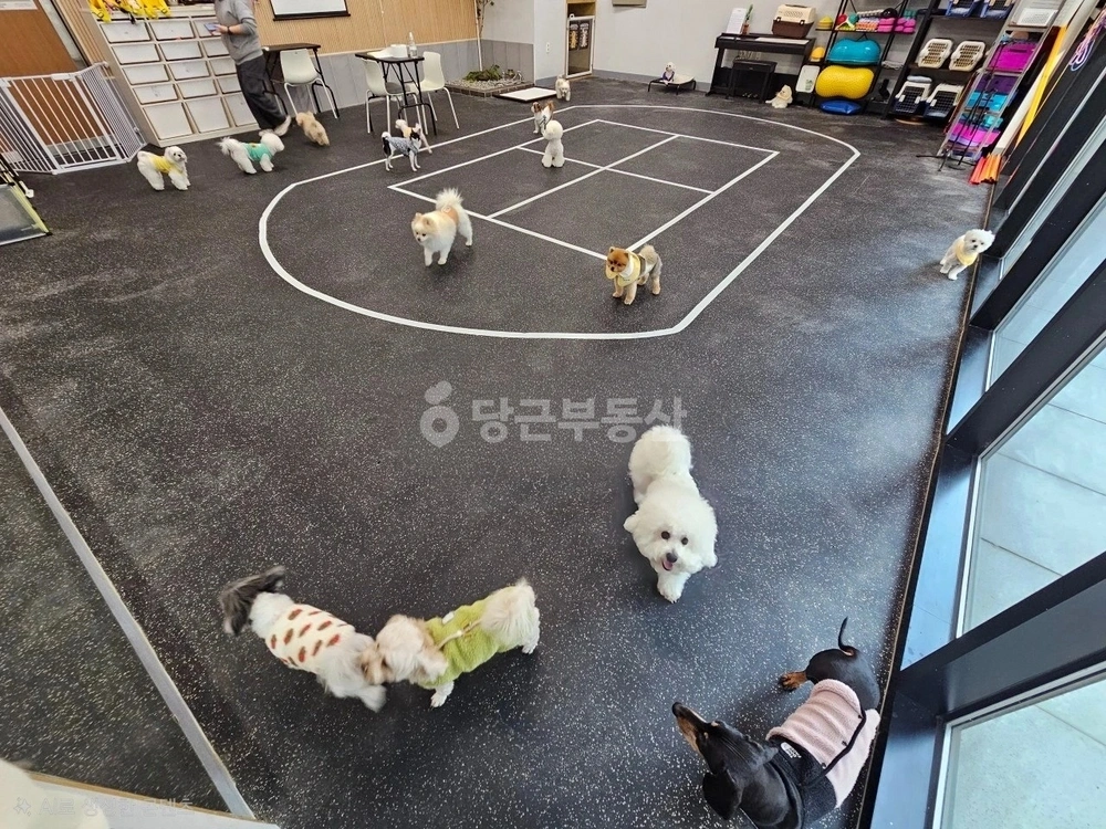 충청북도 청주시 흥덕구 강서동 상가 사진 1
