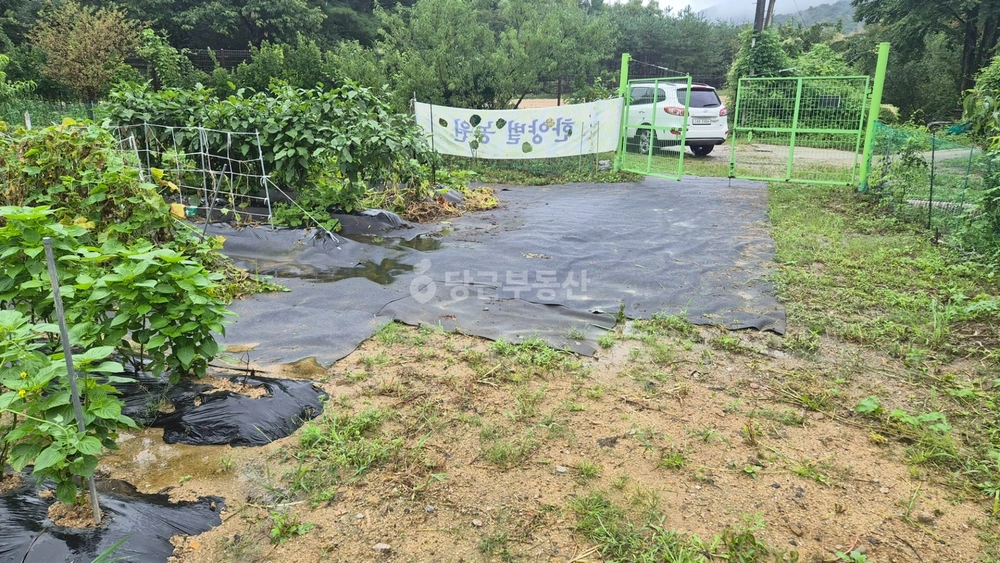 경기도 남양주시 금곡동 토지 사진 1
