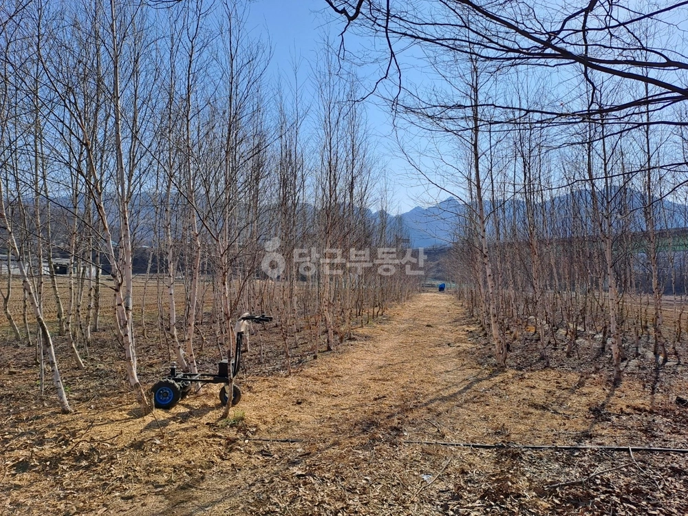 충청북도 괴산군 연풍면 토지 사진 1