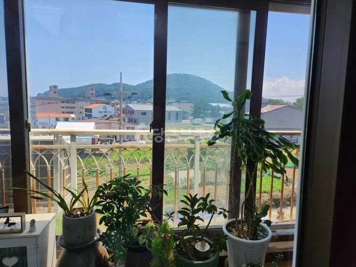제주특별자치도 제주시 삼양이동 아파트 사진 1