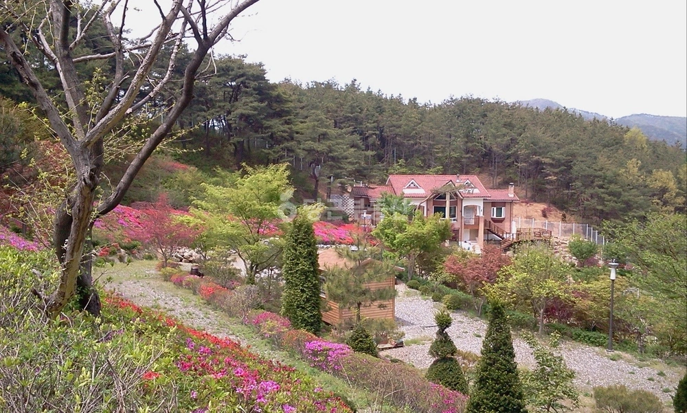 충청남도 청양군 대치면 단독/전원주택 사진 1