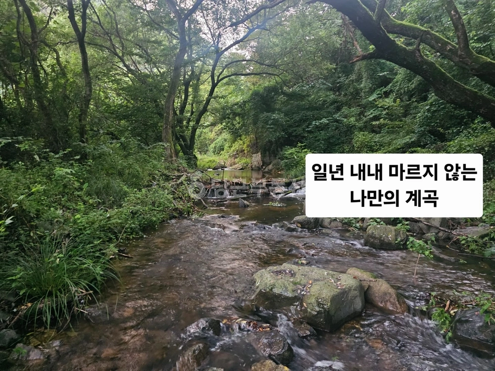 경상북도 포항시 북구 기북면 토지 사진 1