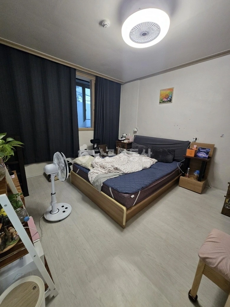 대전광역시 서구 변동 빌라(투룸 이상) 사진 1