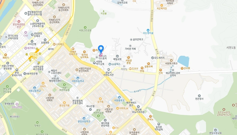 경기도 성남시 분당구 서현동 원룸 사진 1
