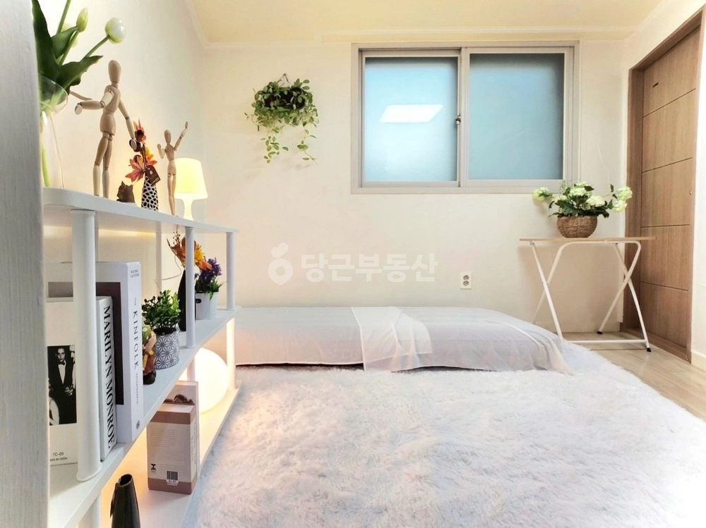 서울특별시 영등포구 당산동3가 원룸 사진 1