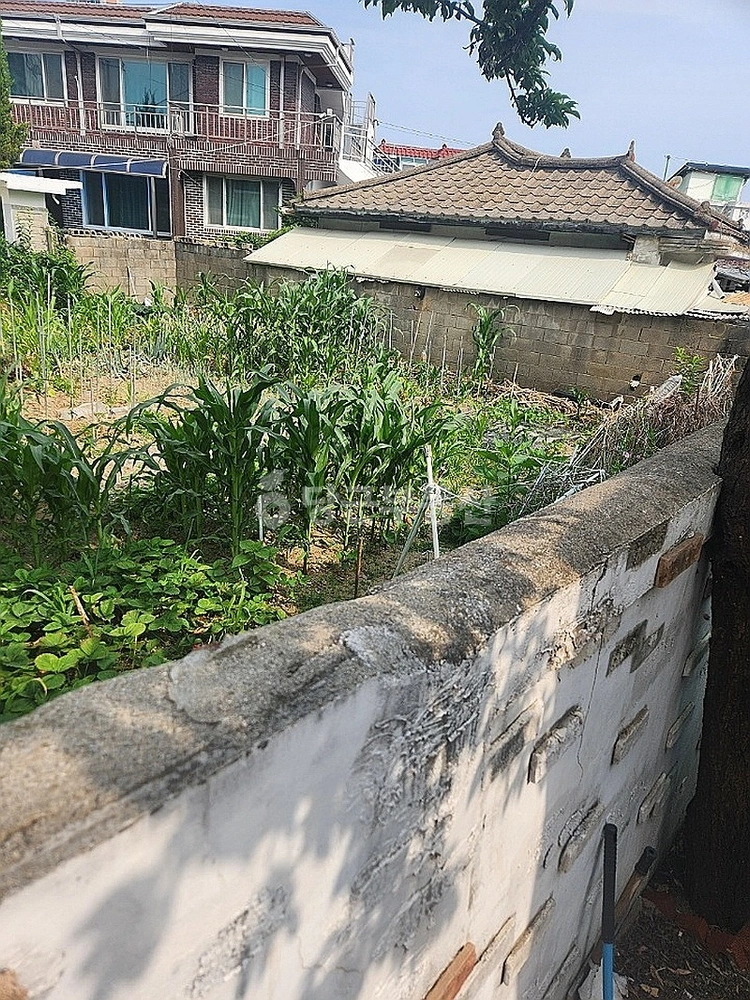 충청남도 천안시 동남구 봉명동 단독/전원주택 사진 1