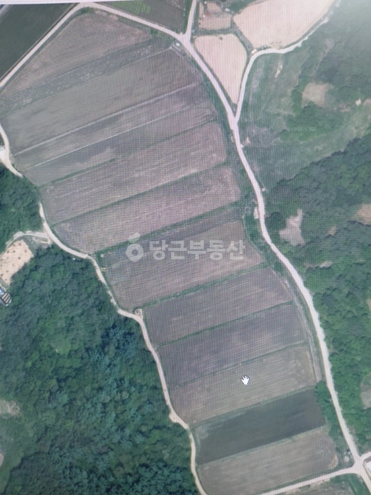 경상북도 안동시 서후면 토지 사진 1