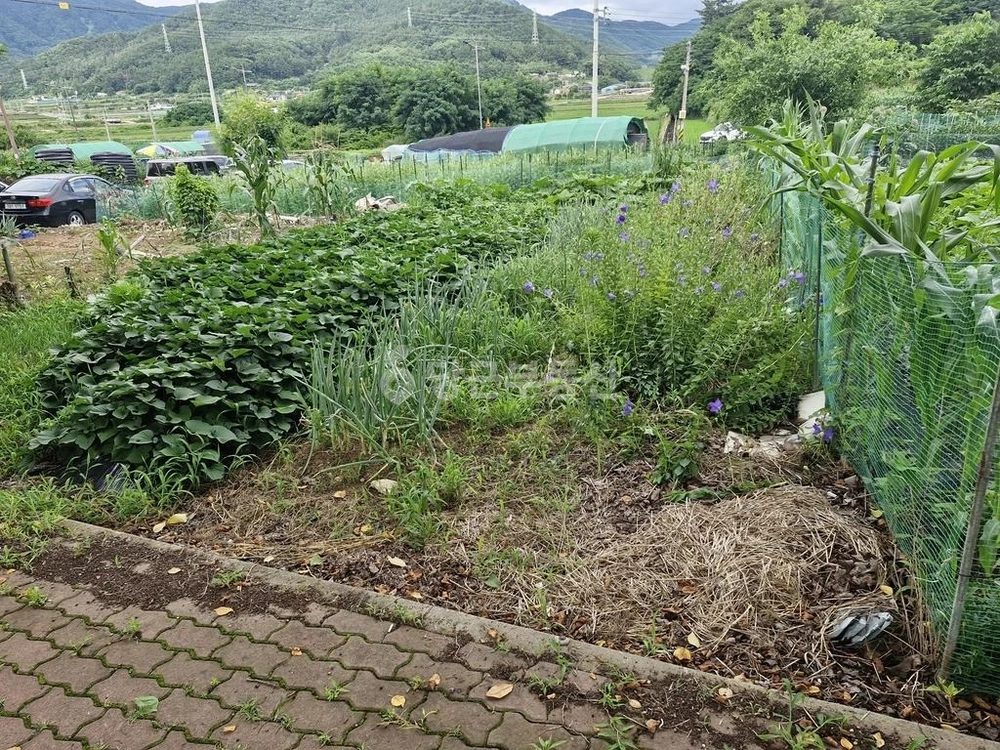 경상남도 사천시 용현면 토지 사진 1