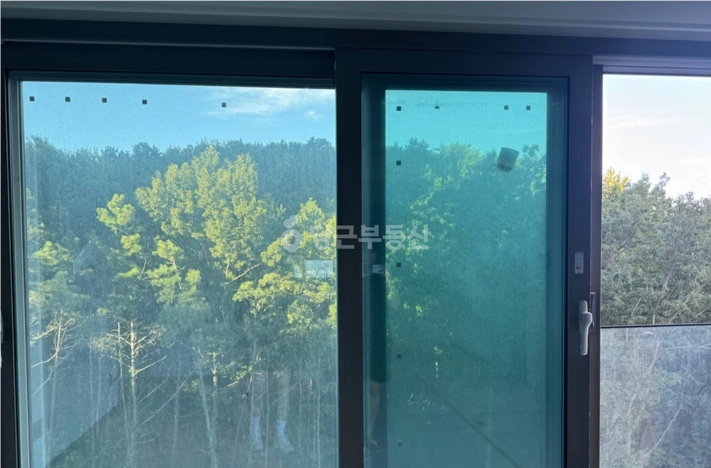 경상북도 포항시 북구 양덕동 아파트 사진 1