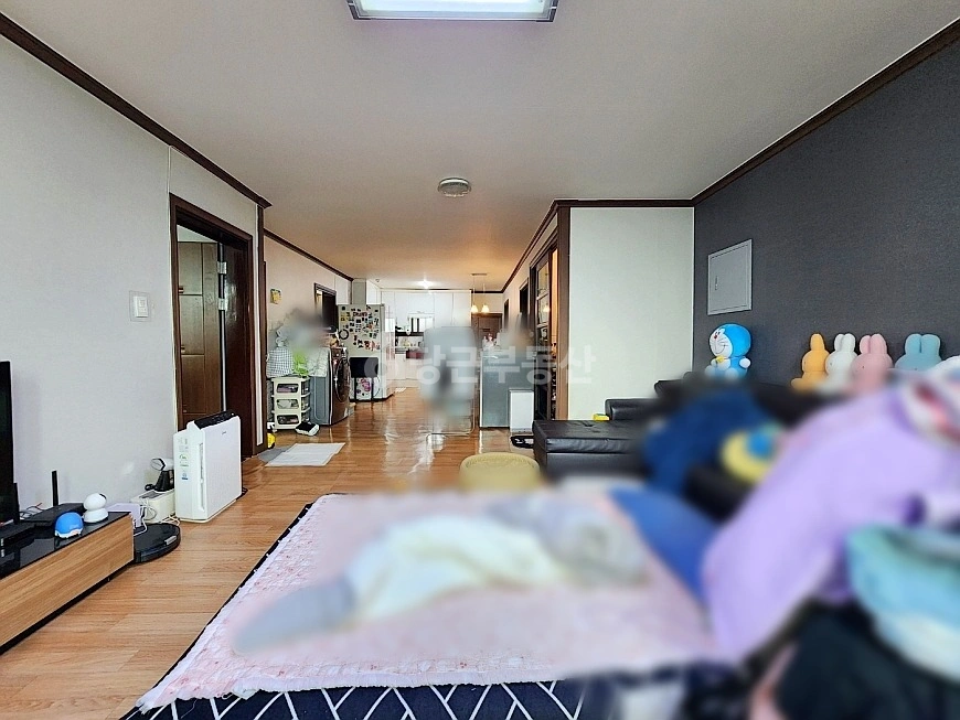 대전광역시 대덕구 중리동 빌라(투룸 이상) 사진 1