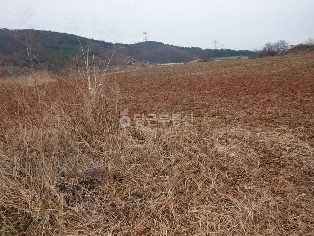 충청남도 예산군 봉산면 토지 사진 1