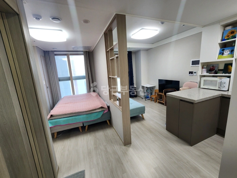 강원특별자치도 속초시 조양동 오피스텔 사진 1