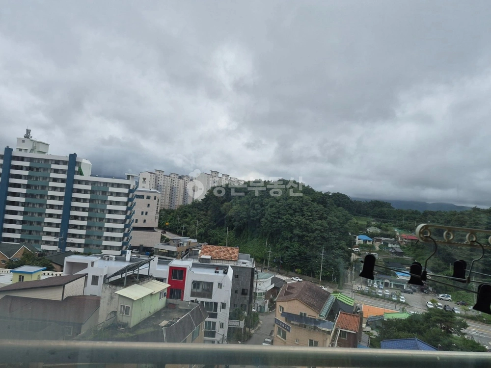 강원특별자치도 강릉시 교동 아파트 사진 1
