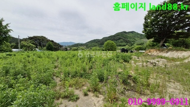 전북특별자치도 장수군 장계면 토지 사진 1