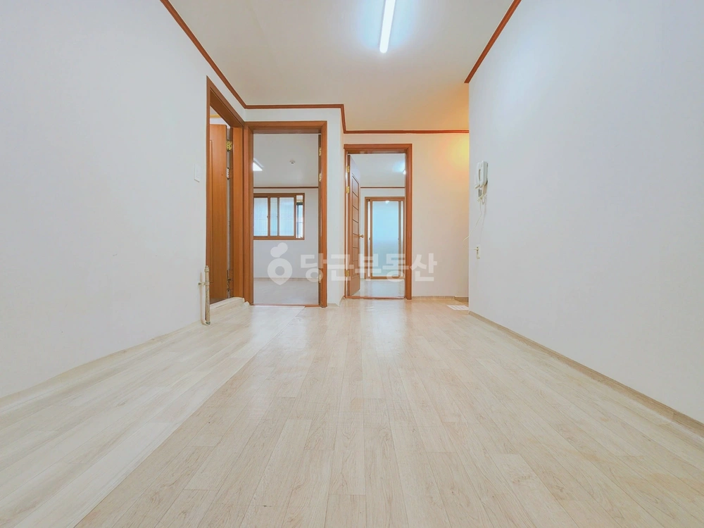 대전광역시 중구 산성동 빌라(투룸 이상) 사진 1
