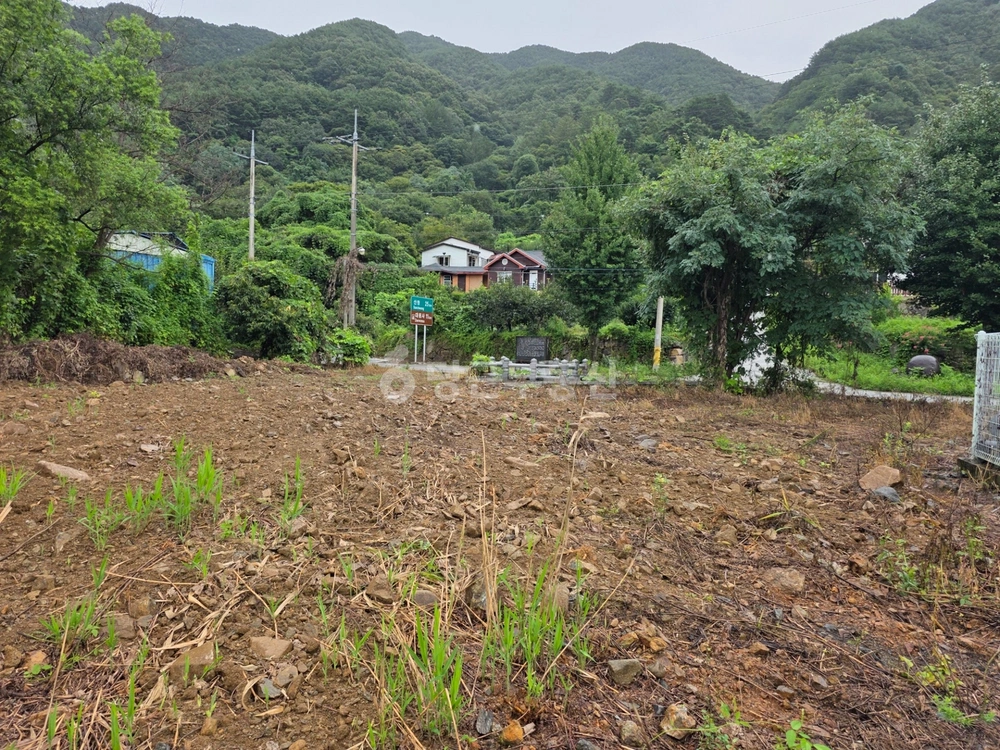 경상남도 산청군 삼장면 토지 사진 1