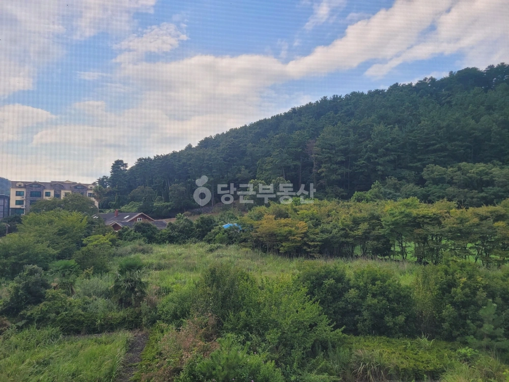 제주특별자치도 제주시 오라이동 빌라(투룸 이상) 사진 1