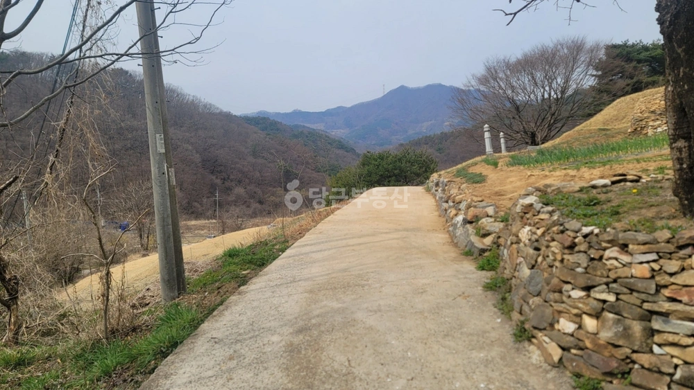 충청남도 아산시 송악면 토지 사진 1