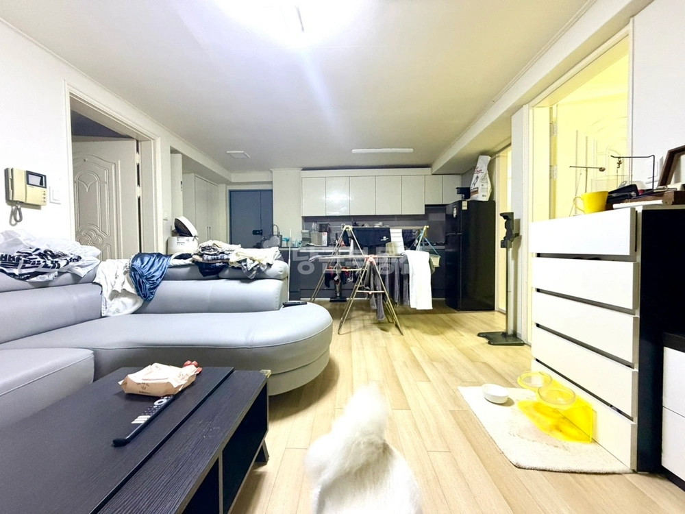 서울특별시 강남구 논현동 빌라(투룸 이상) 사진 1