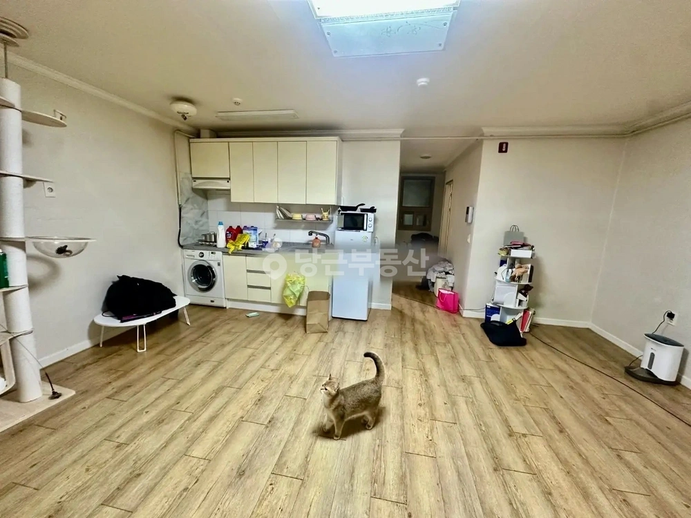 충청북도 청주시 흥덕구 비하동 오피스텔 사진 1