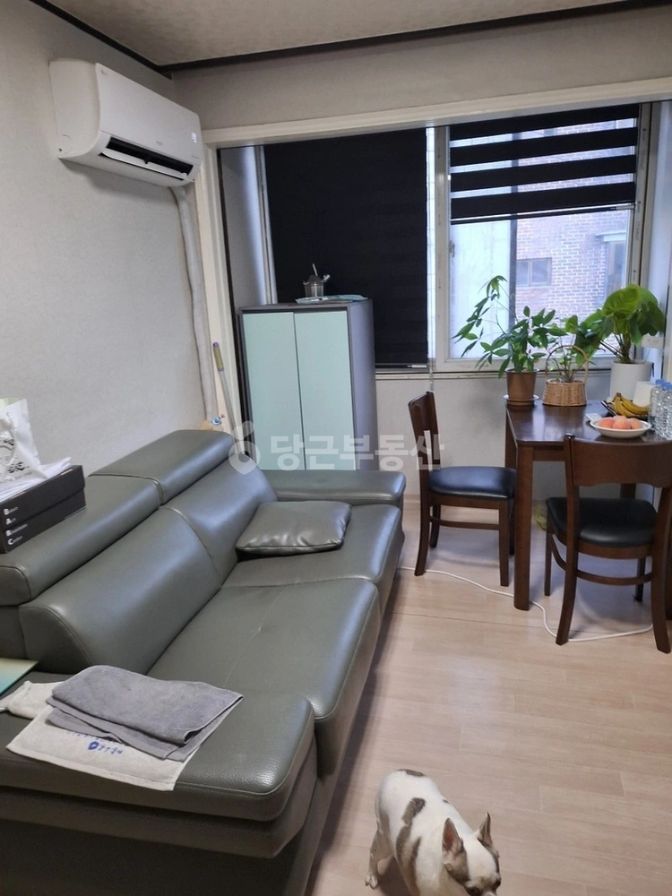 서울특별시 관악구 봉천동 빌라(투룸 이상) 사진 1