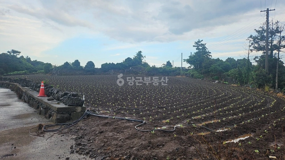 제주특별자치도 제주시 애월읍 토지 사진 1