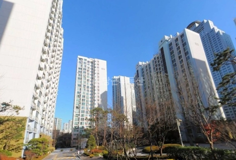 서울특별시 강남구 도곡동 아파트 사진 1