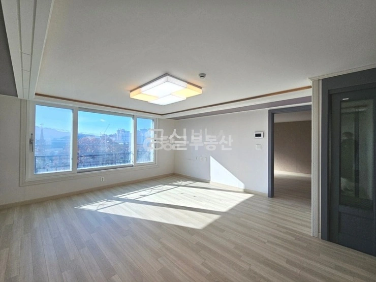 대전광역시 동구 홍도동 빌라(투룸 이상) 사진 1