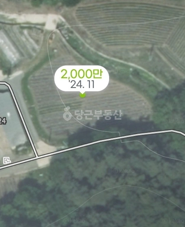 경상북도 안동시 예안면 토지 사진 1