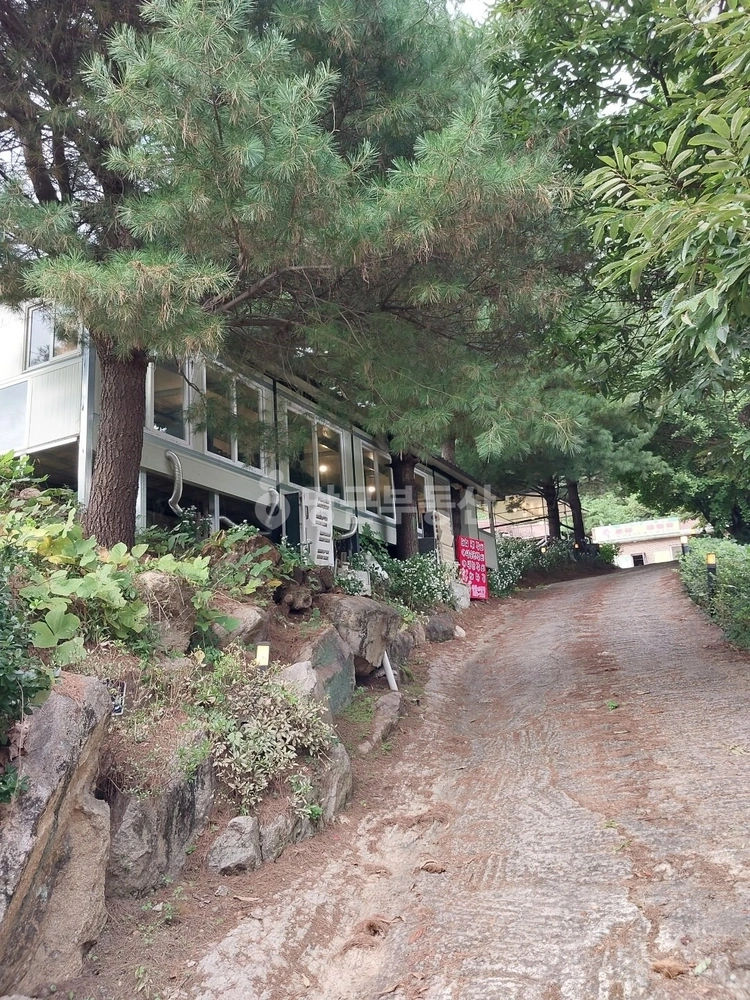 경기도 여주시 점동면 단독/전원주택 사진 1