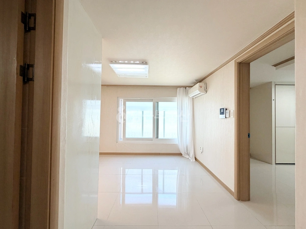 서울특별시 강남구 역삼동 원룸 사진 1