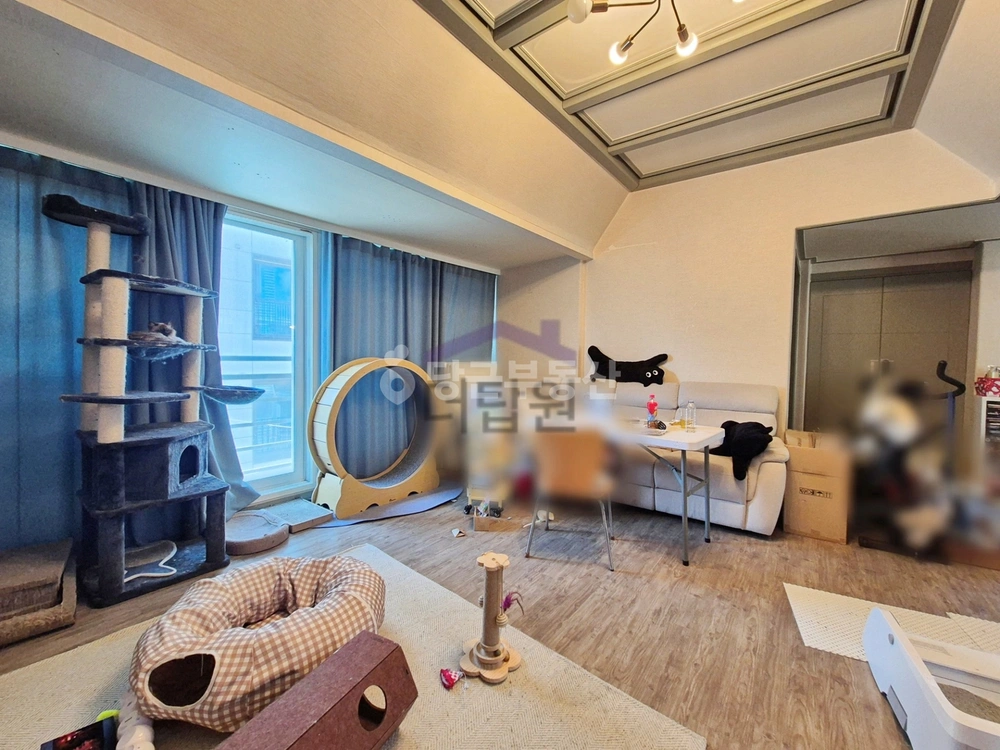 서울특별시 강남구 역삼동 빌라(투룸 이상) 사진 1