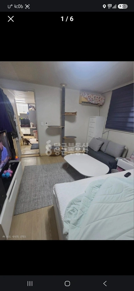 서울특별시 관악구 신림동 빌라(투룸 이상) 사진 1