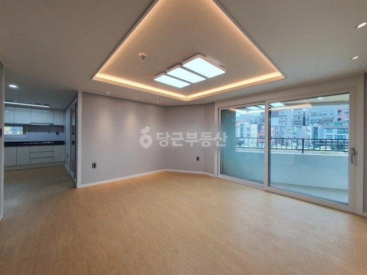 대전광역시 서구 도안동 빌라(투룸 이상) 사진 1
