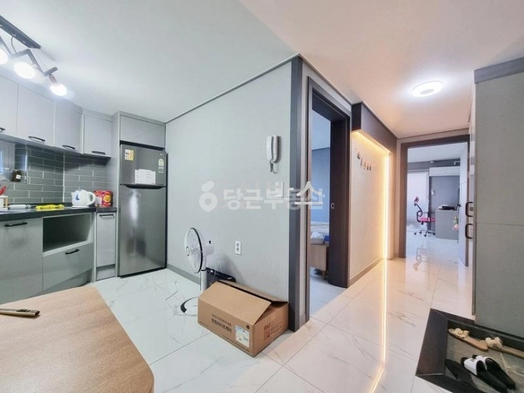 대전광역시 서구 둔산동 빌라(투룸 이상) 사진 1