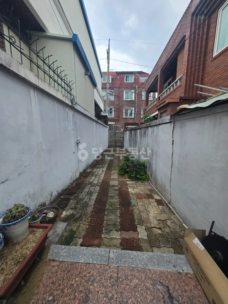 대구광역시 남구 대명동 단독/전원주택 사진 1