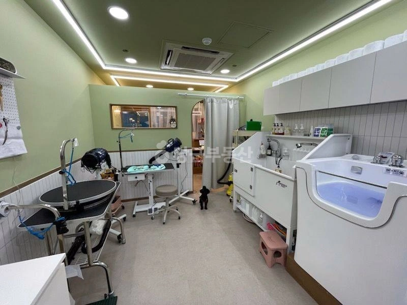 경기도 수원시 영통구 매탄동 상가 사진 1