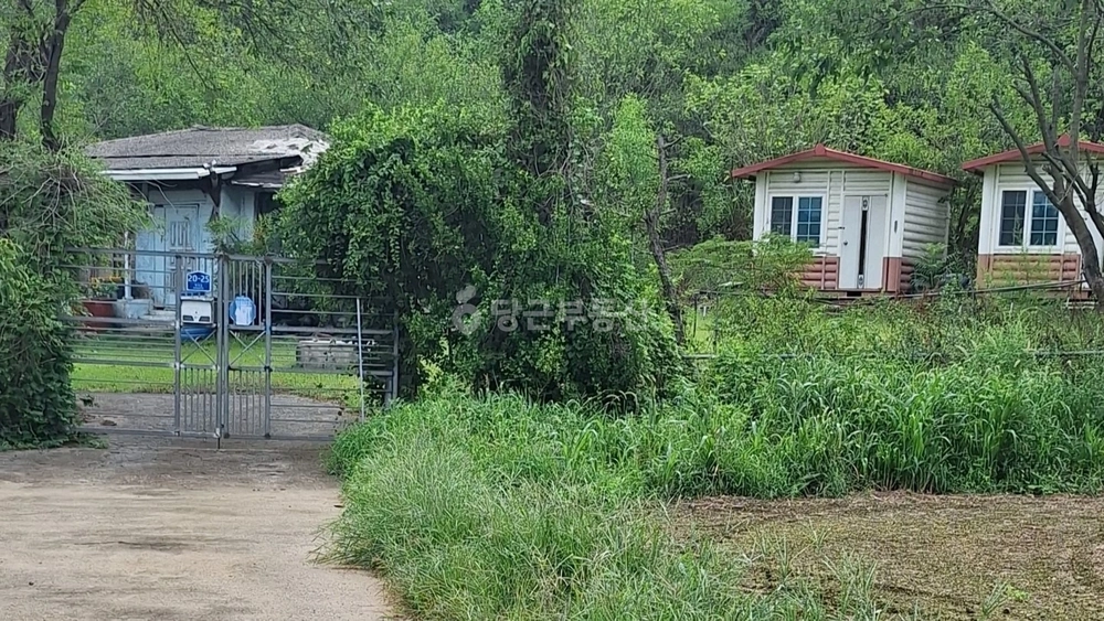경상남도 창녕군 장마면 토지 사진 1