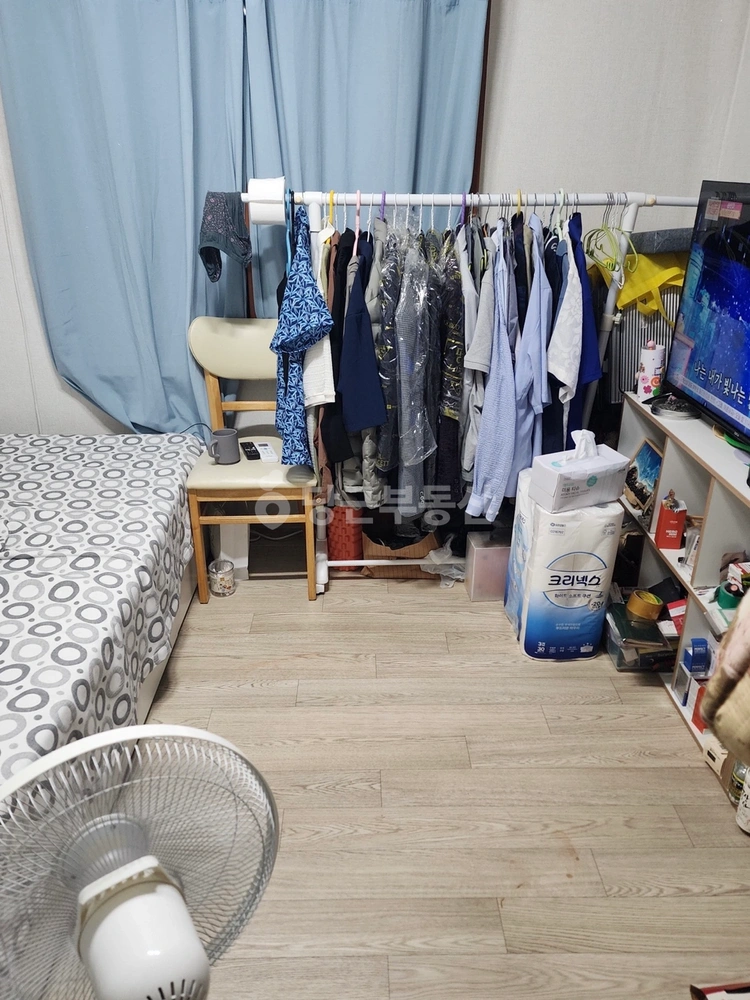 제주특별자치도 서귀포시 안덕면 단독/전원주택 사진 1