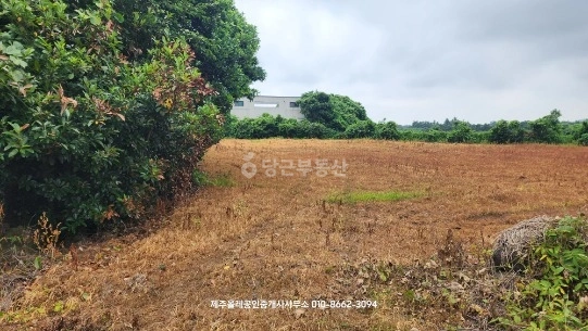 제주특별자치도 서귀포시 표선면 토지 사진 1