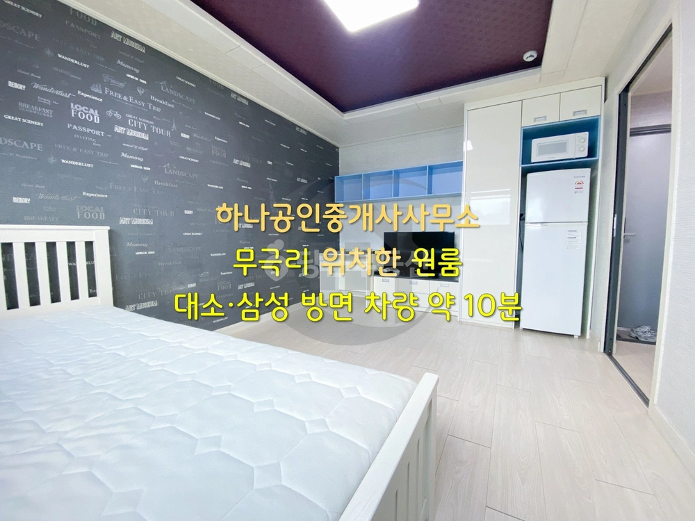 충청북도 음성군 금왕읍 원룸 사진 1