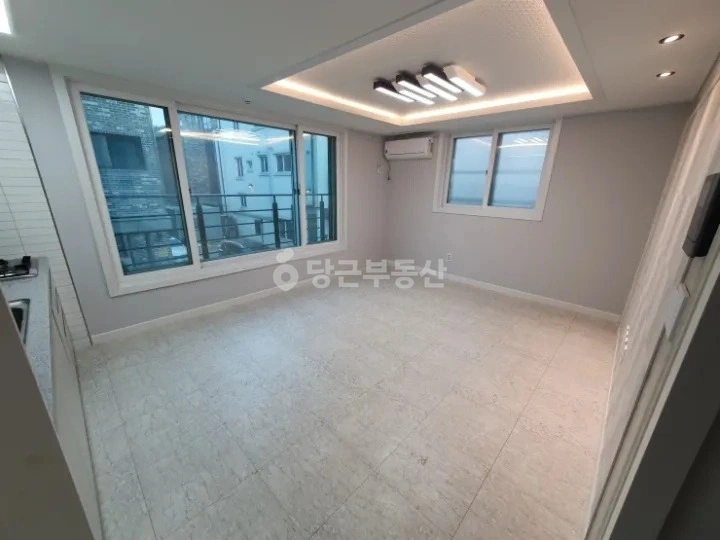 대전광역시 서구 도안동 빌라(투룸 이상) 사진 1