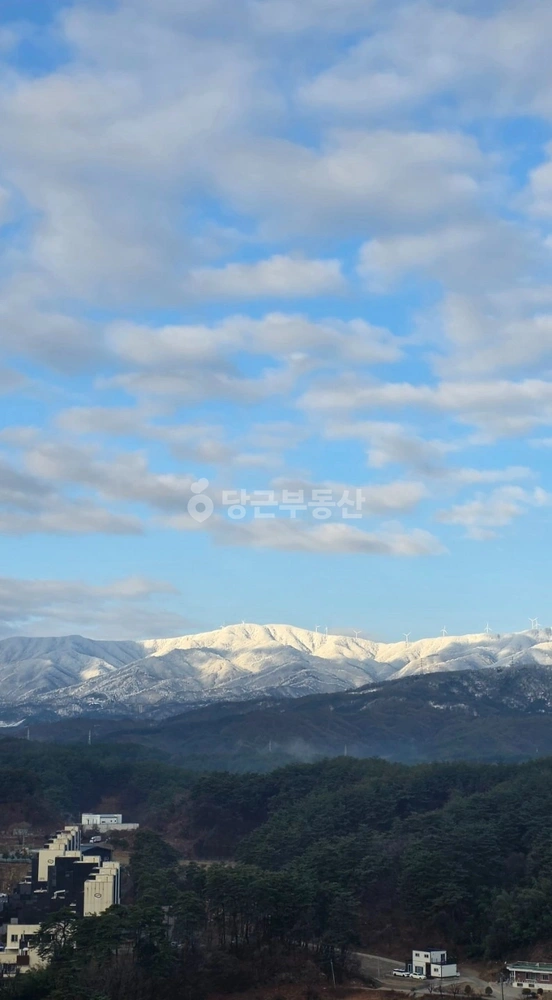 강원특별자치도 강릉시 유천동 아파트 사진 1